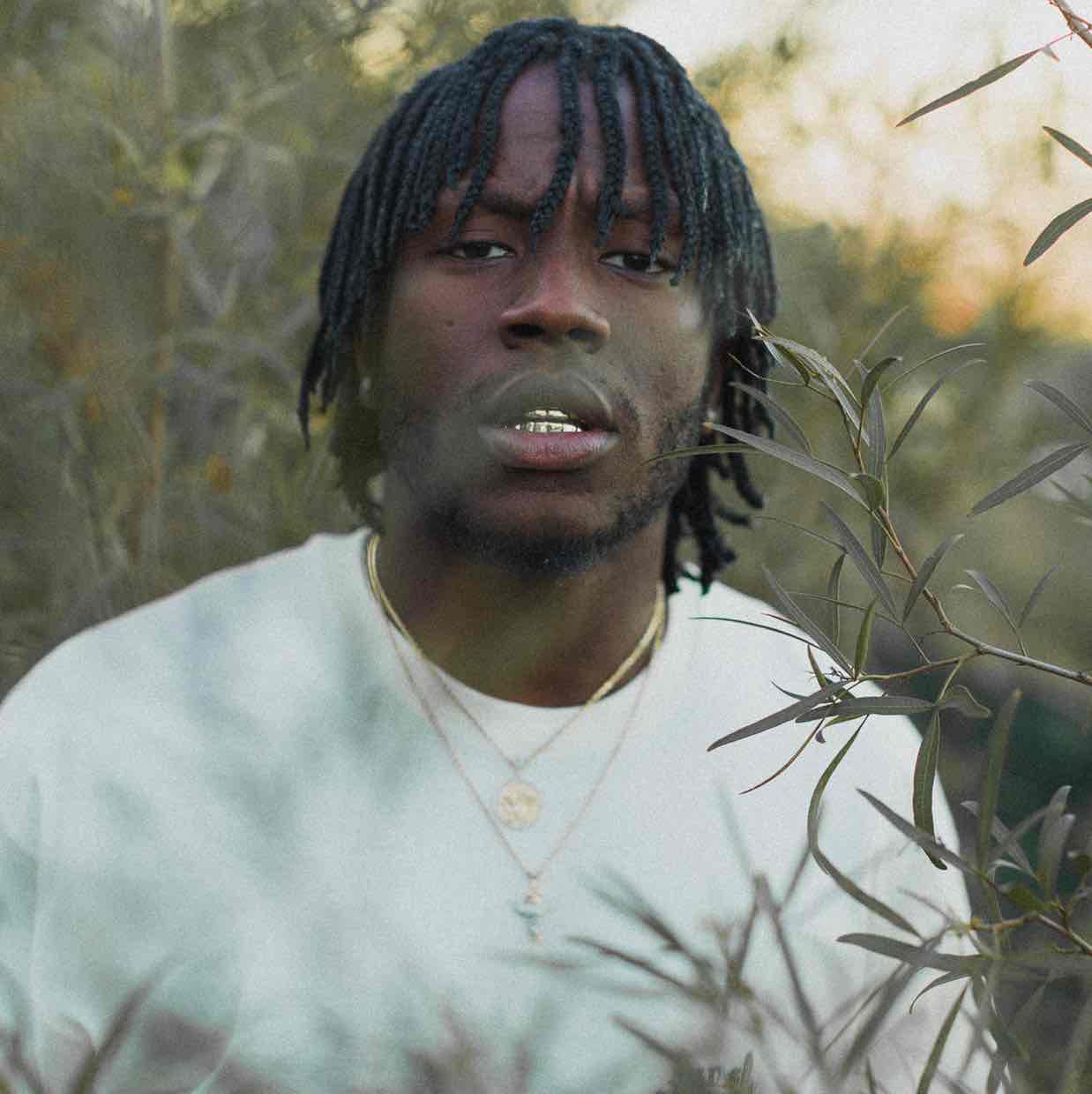 Avatar of Jerry Purpdrank