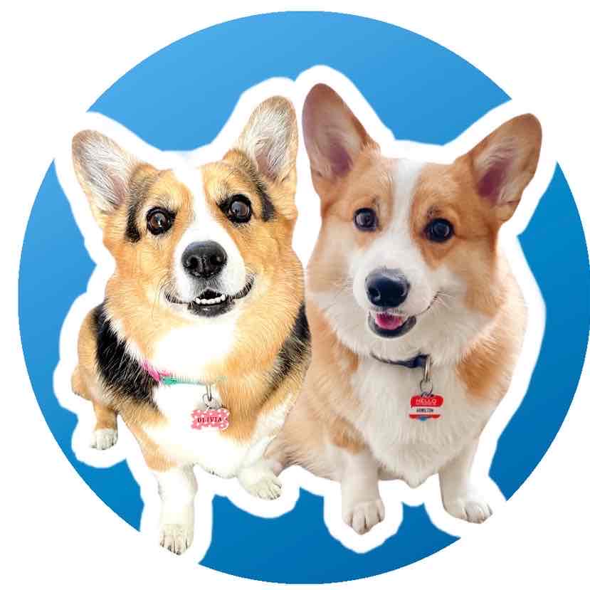 Avatar of Hammy & Olivia