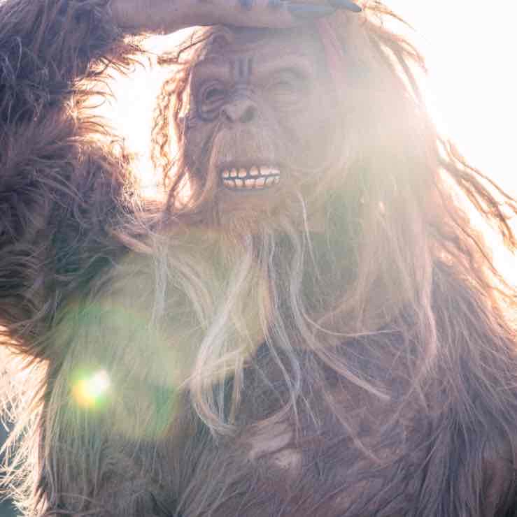 Avatar of Bigfoot Bae