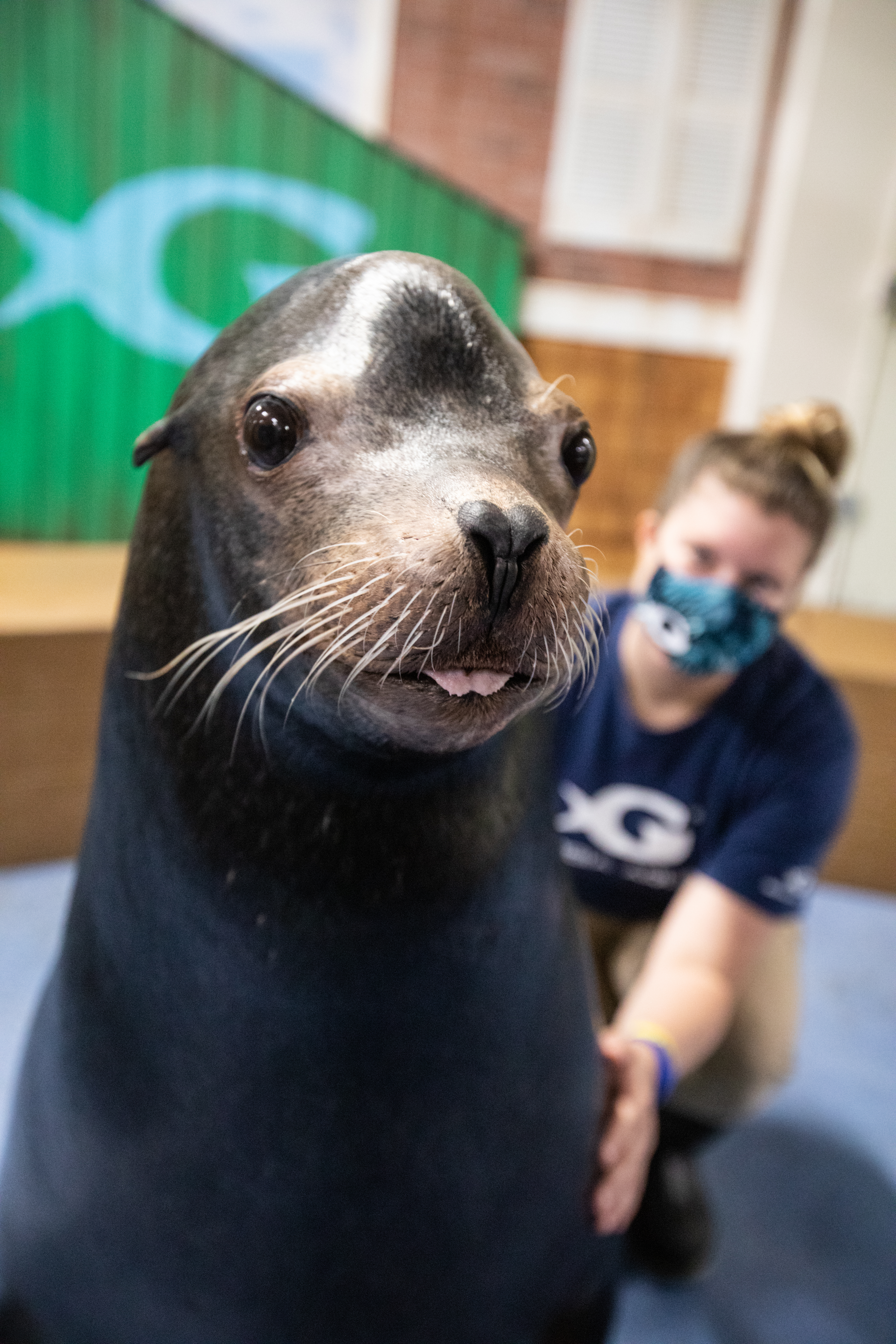 Avatar of Georgia Aquarium
