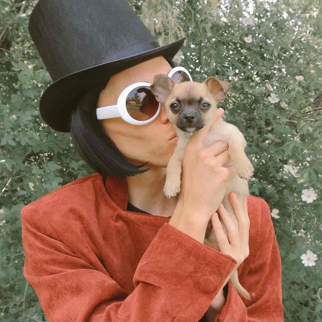 Avatar of Willy Wonka Tiktok