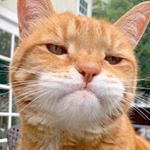 Avatar of Marley Katz
