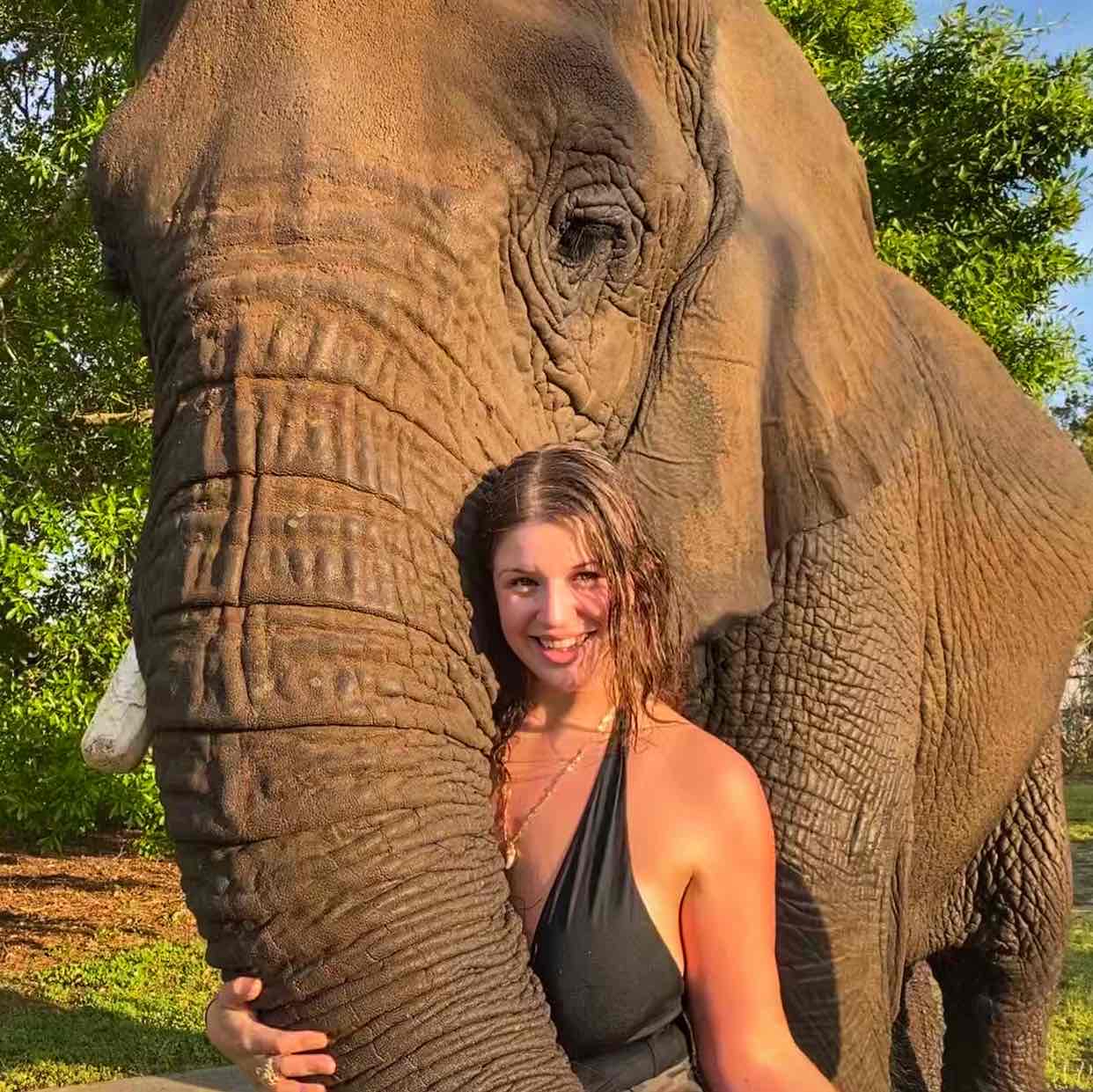 Avatar of Tawny Antle