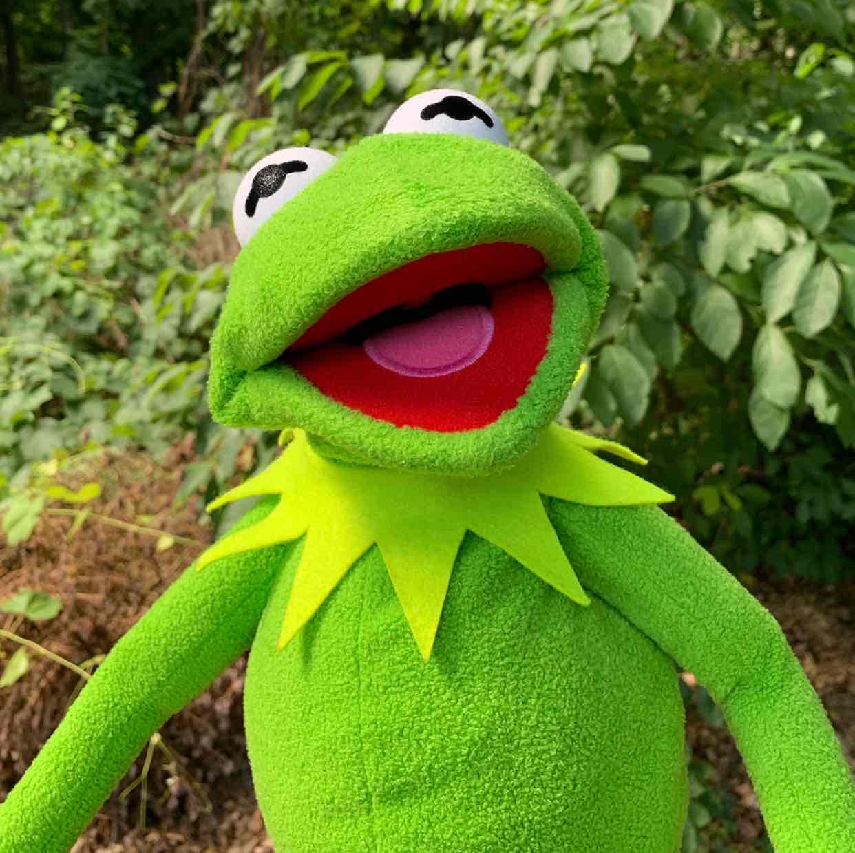 Avatar of Kermitthepuppet