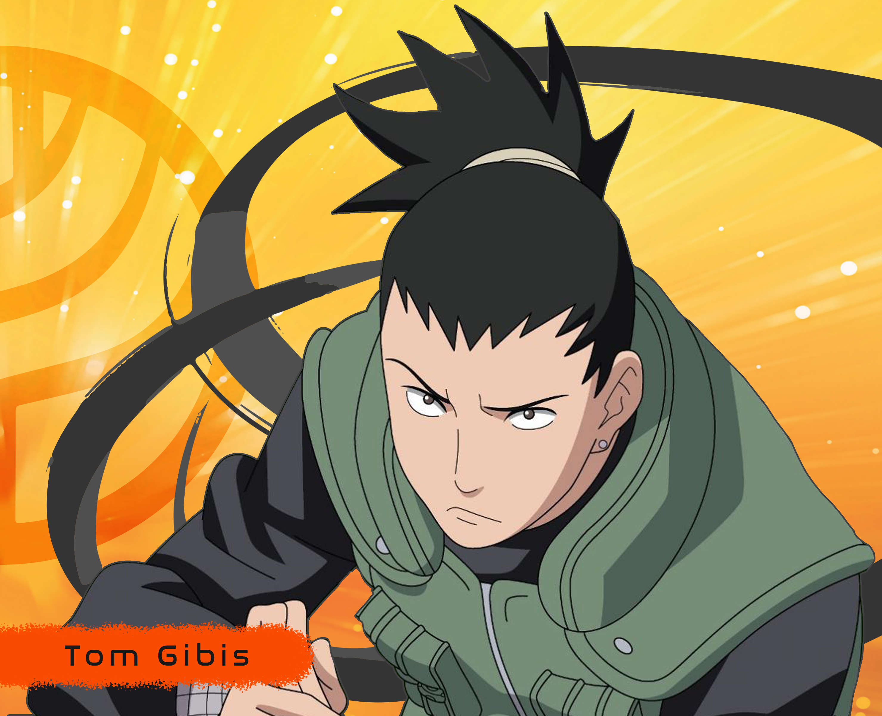 Avatar of Tom Gibis