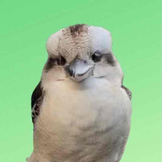 Avatar of Birds of Oz