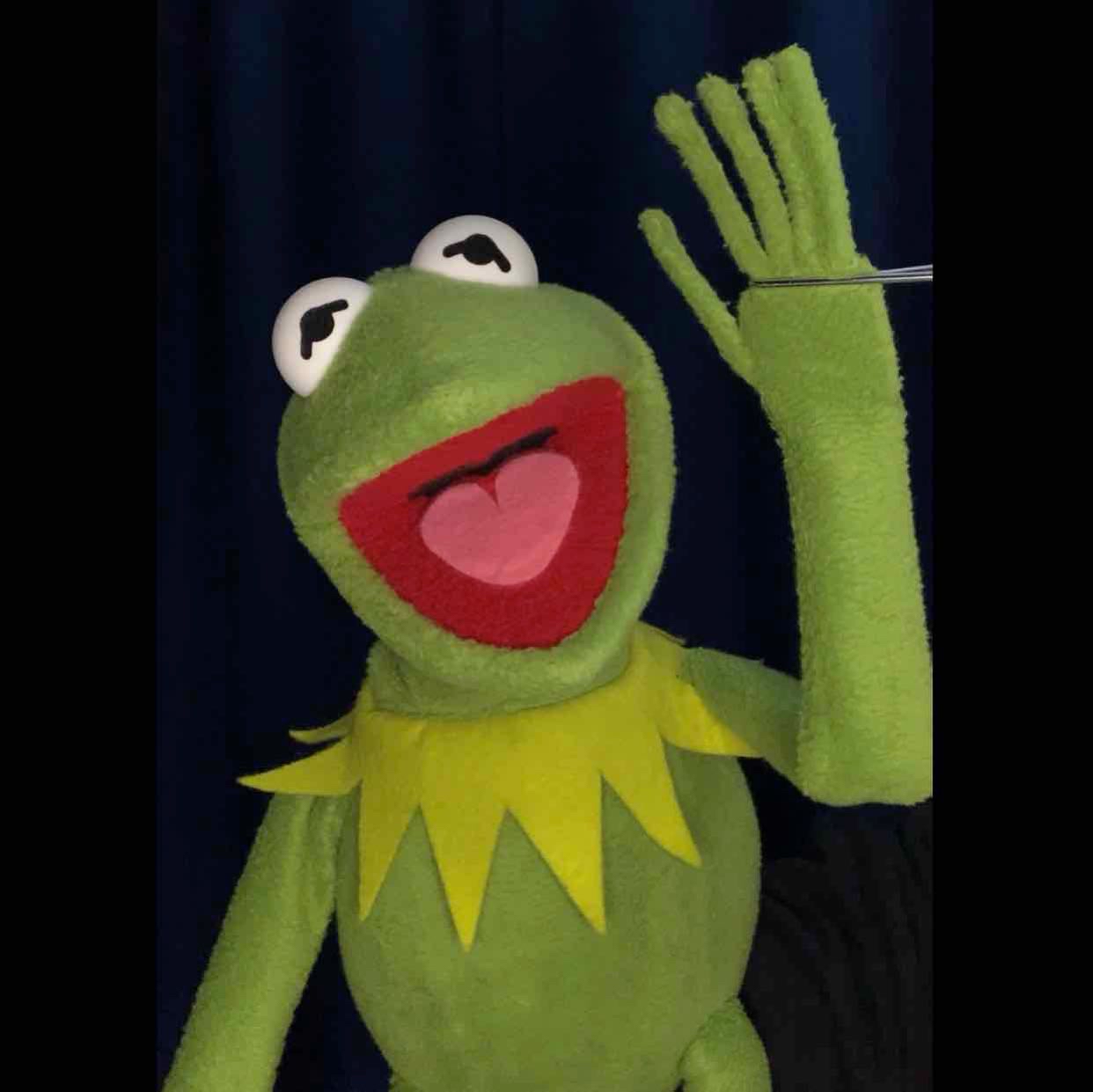 Avatar of Kermitthepuppet
