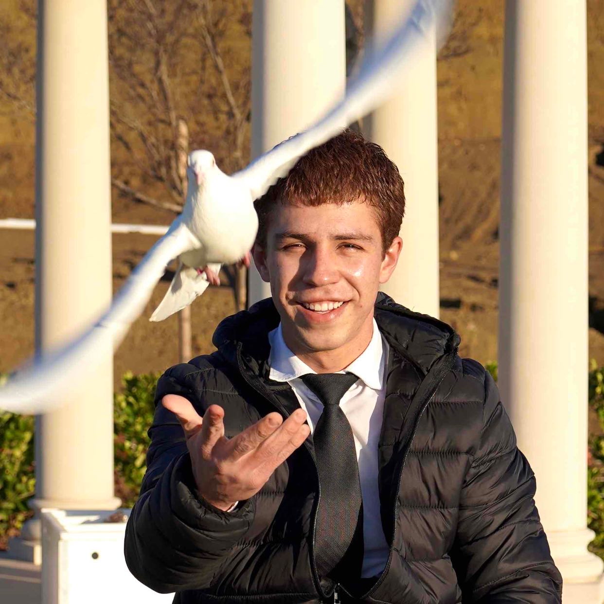 Avatar of The Dove Guy