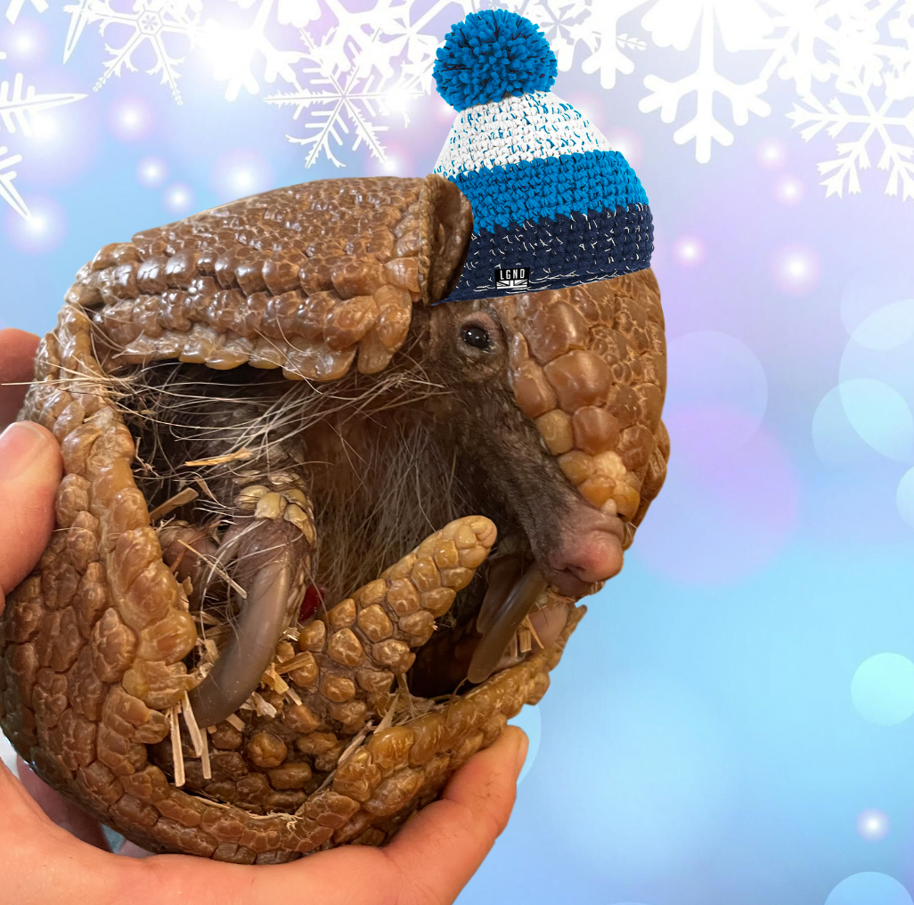 Avatar of Gwen the Armadillo