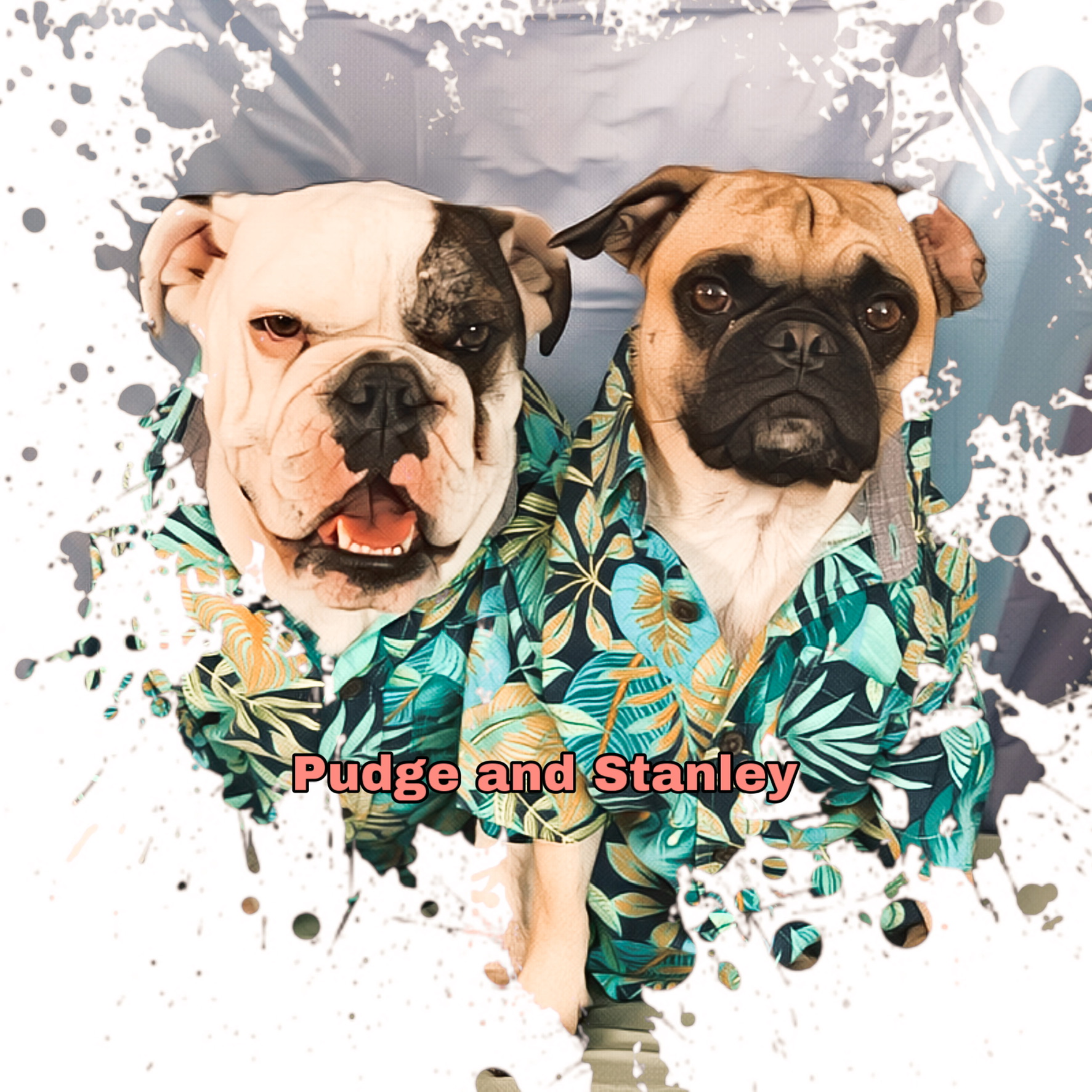 Avatar of Pudge and Stanley