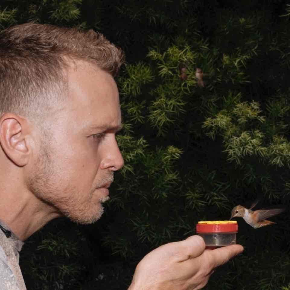 Avatar of Spencer Pratt on Cameo dot com