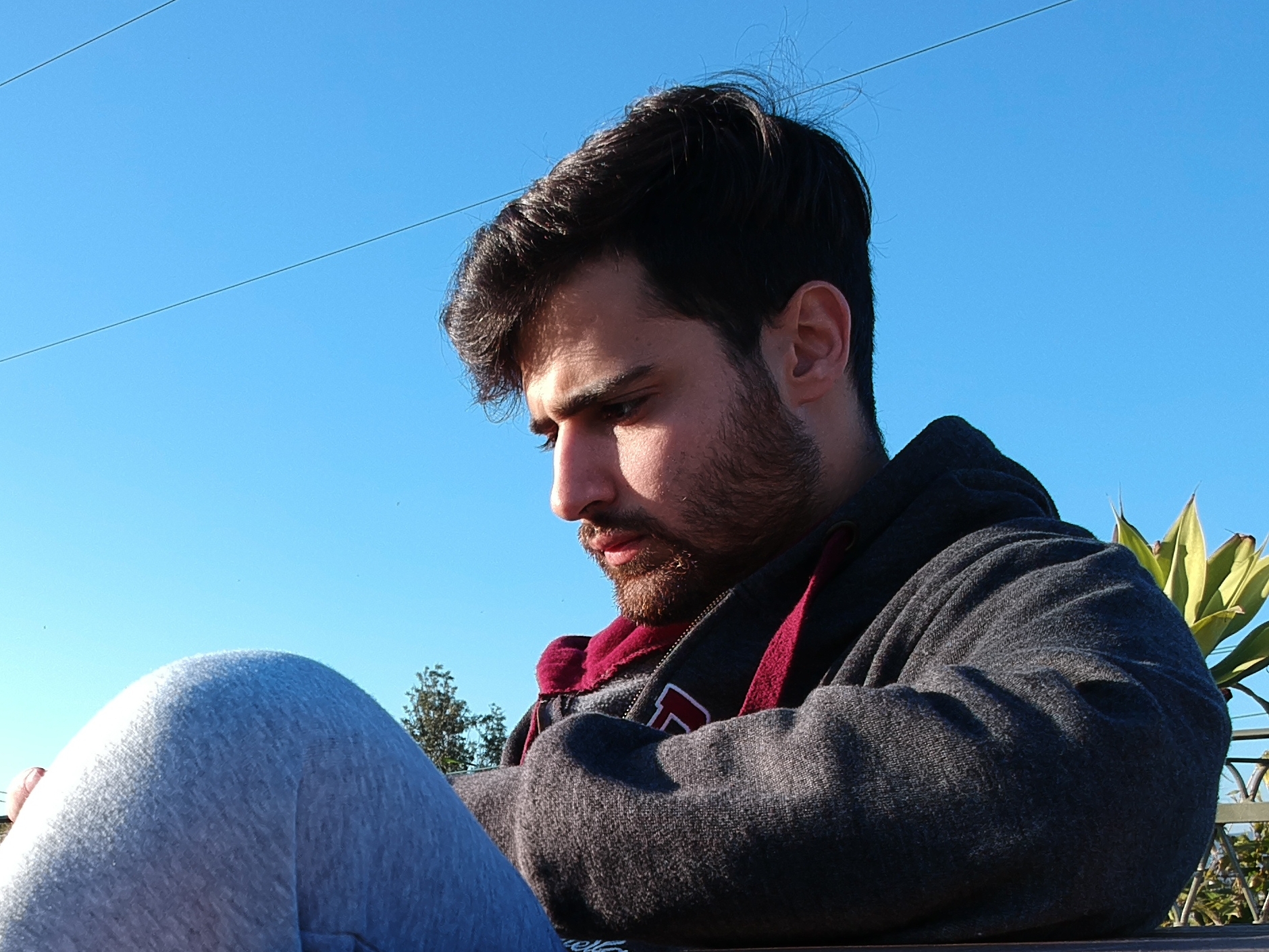Avatar of Fabricio Santecchia