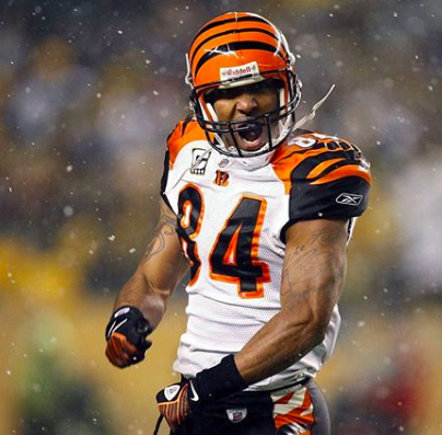 Avatar of TJ Houshmandzadeh