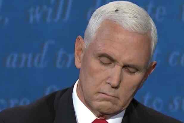 Avatar of The Fly On Mike Pence’s Head