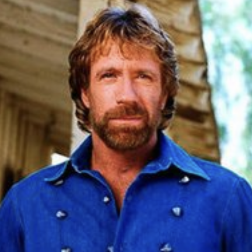 Cameo Chuck Norris