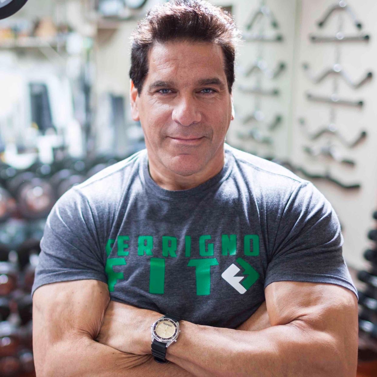 Avatar of Lou Ferrigno