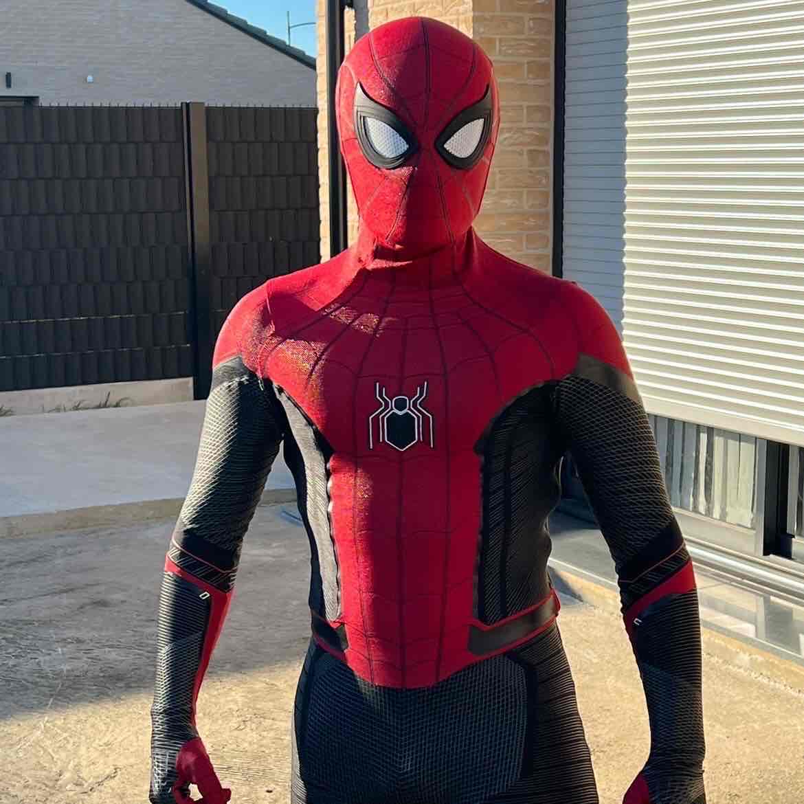 Avatar of French Spiderman