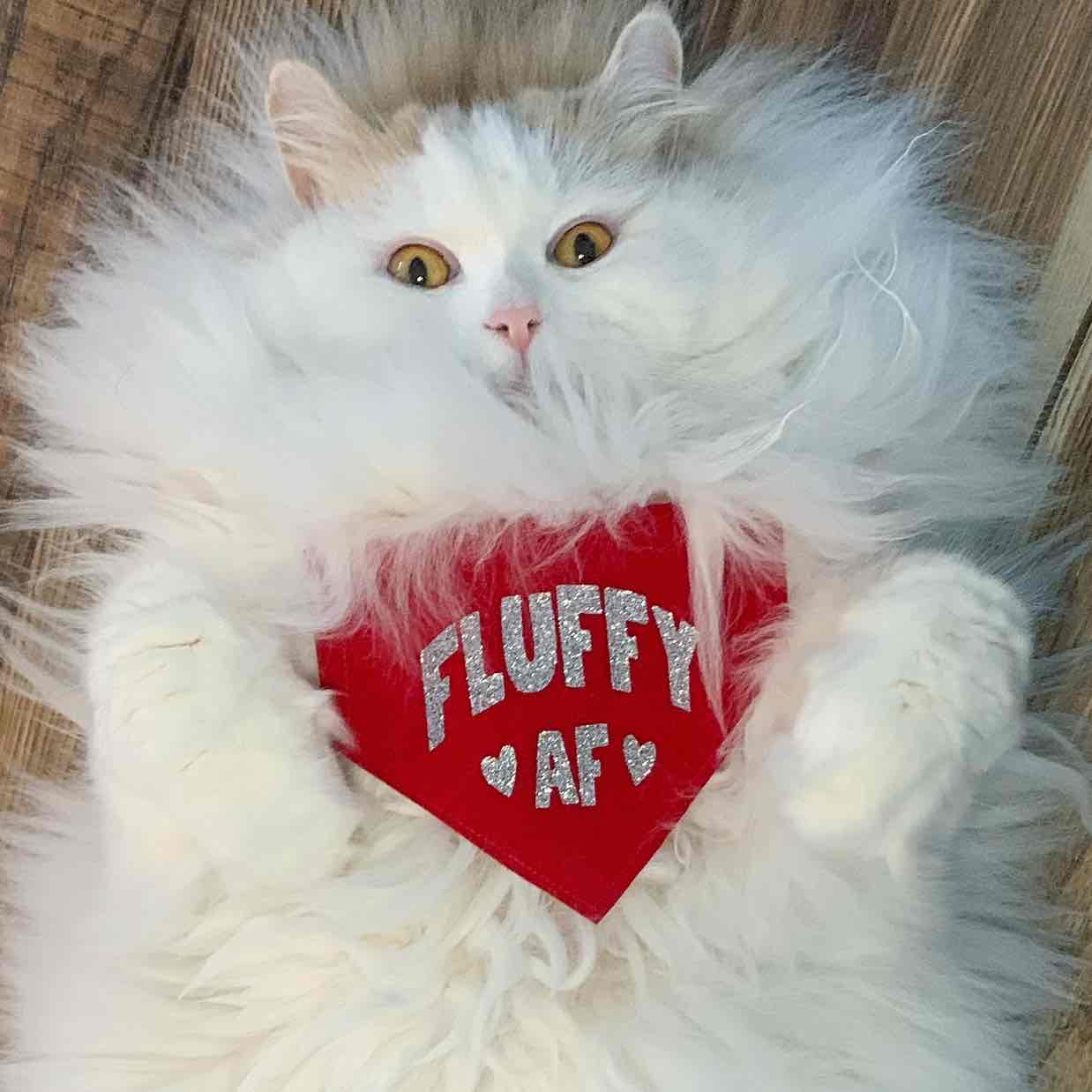 Avatar of Louie