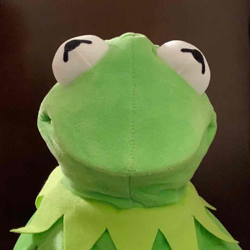 Avatar of KermitOnTikTok