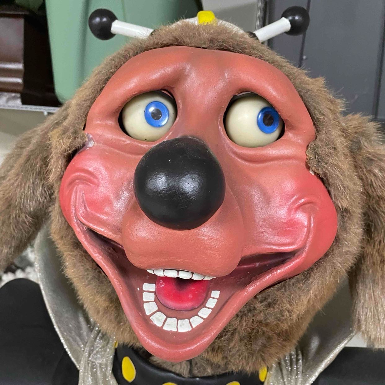 Avatar of Benji_dook