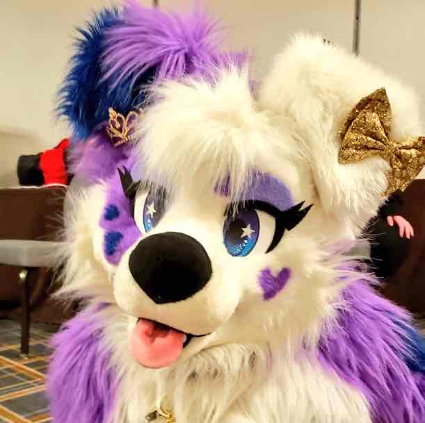 Avatar of Galaxie Collie