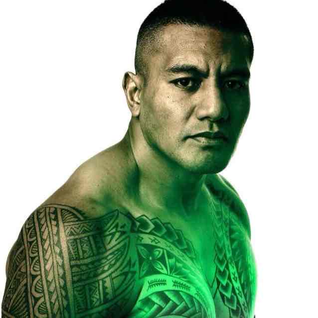 Avatar of Soa "The Hulk" Palelei