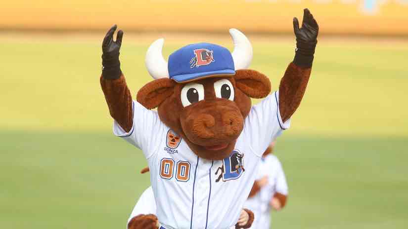 Avatar of Wool E. Bull