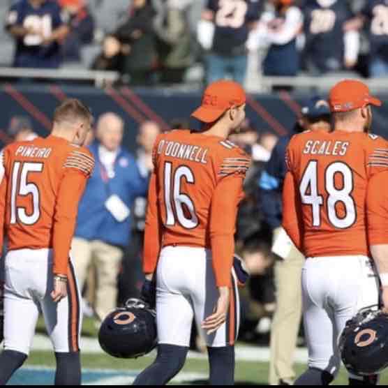 Avatar of Bears Specialists